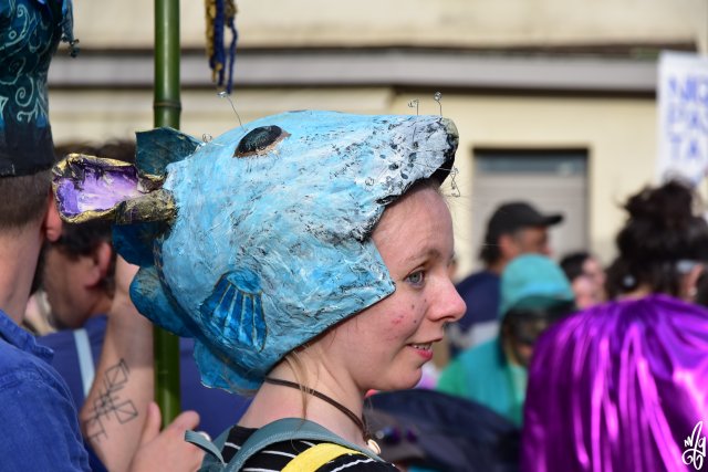 DSC_0537